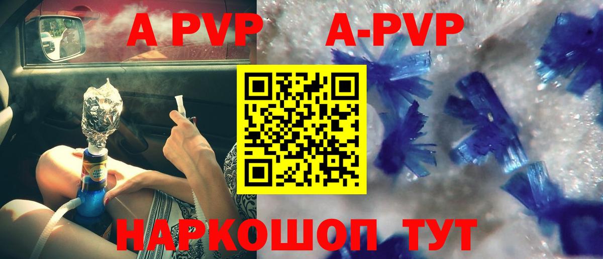 A PVP СК КРИС Магадан