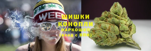 PSILOCYBIN Мегион