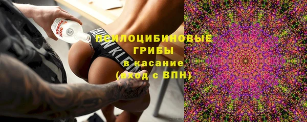 a pvp Медногорск
