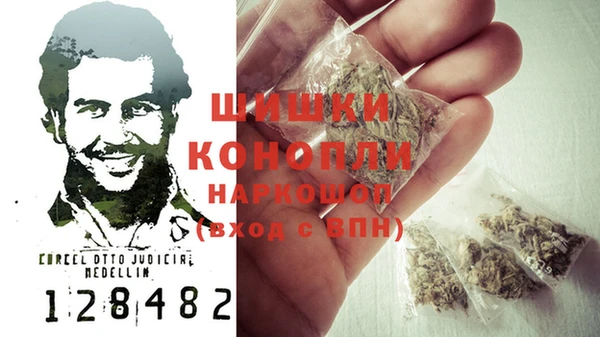 индика Лиски