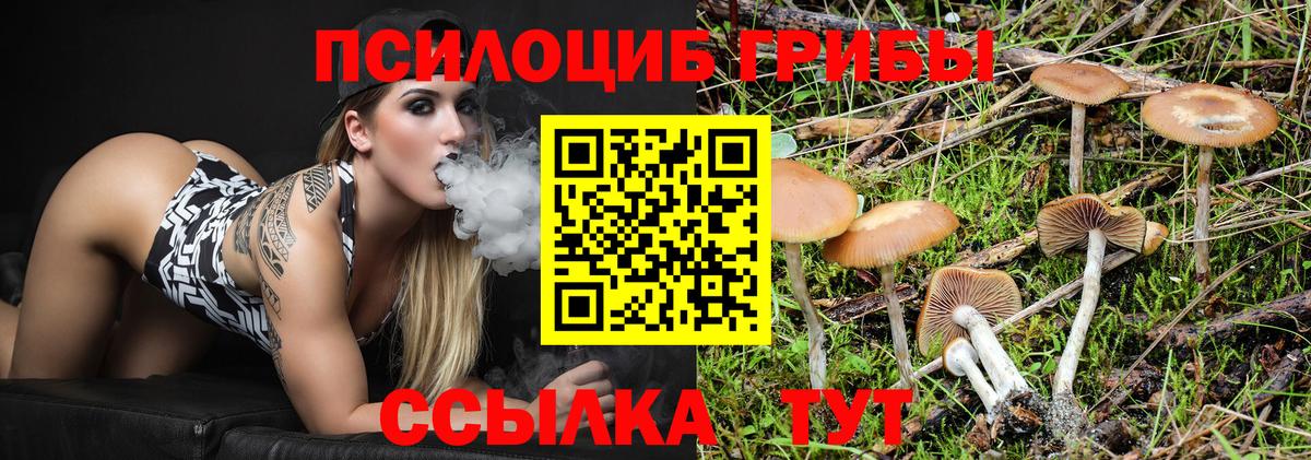 Галлюциногенные грибы Psilocybine cubensis  Магадан 