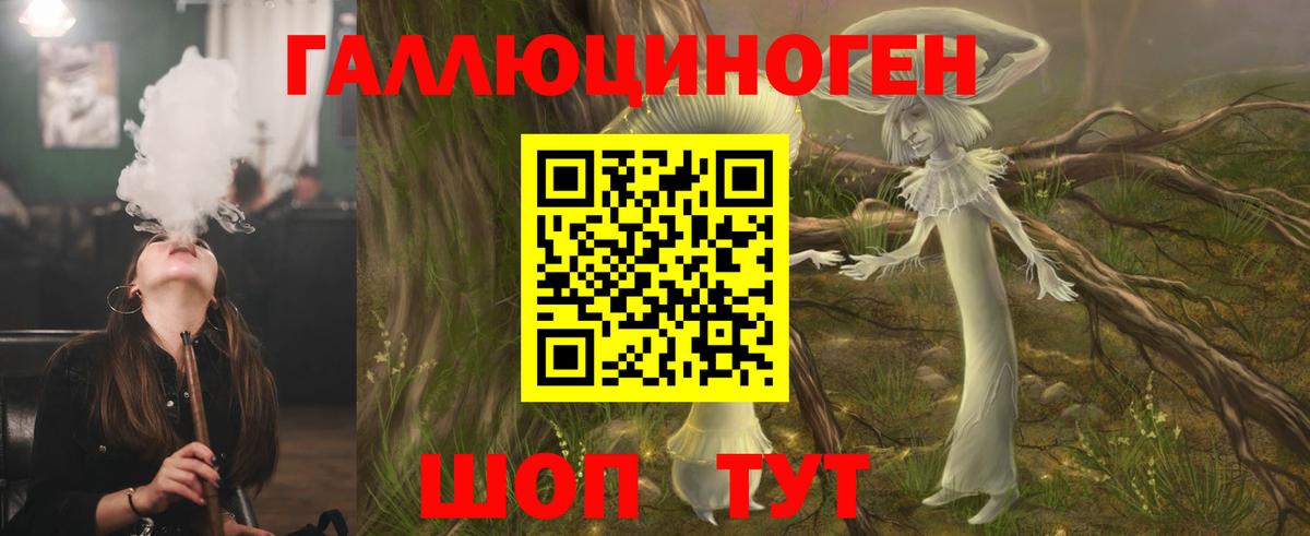 Псилоцибиновые грибы Psilocybine cubensis Магадан