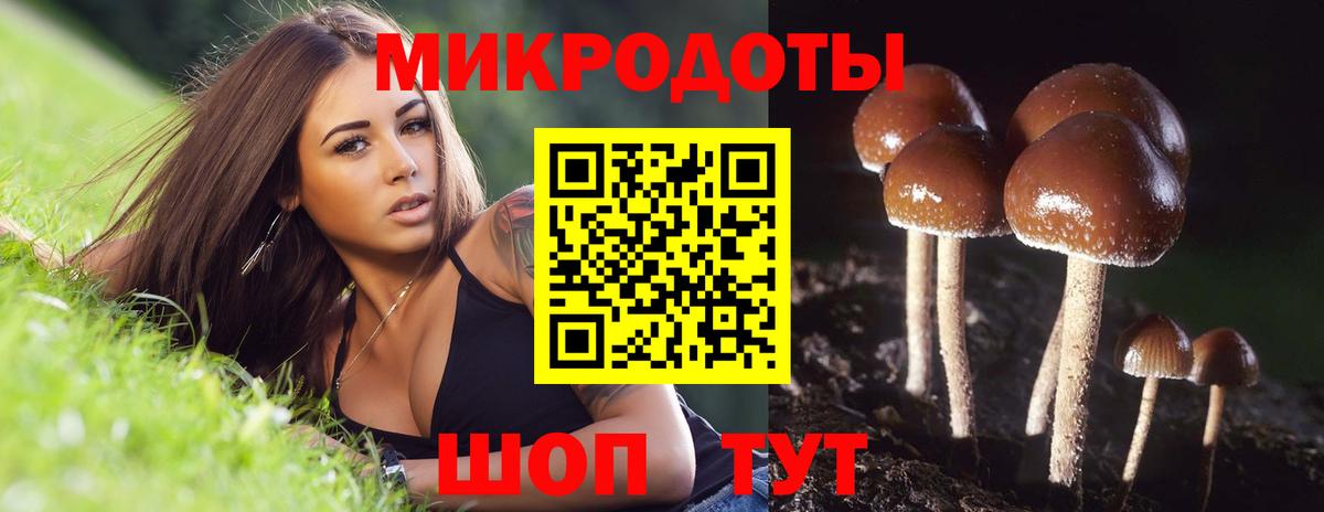 Галлюциногенные грибы Psilocybine cubensis  Вход с VPN  Магадан  Галлюциногенные грибы Psilocybe 